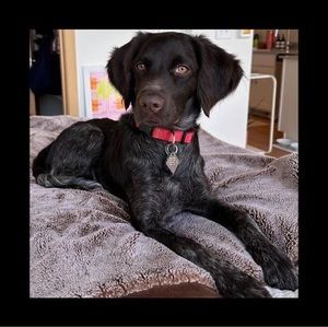 Meet your Posher, John